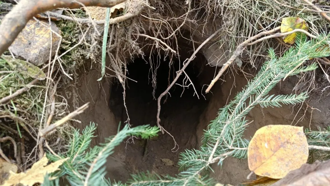 Phát hiện đường hầm bí mật nối liền Belarus và Ba Lan - Ảnh 1.